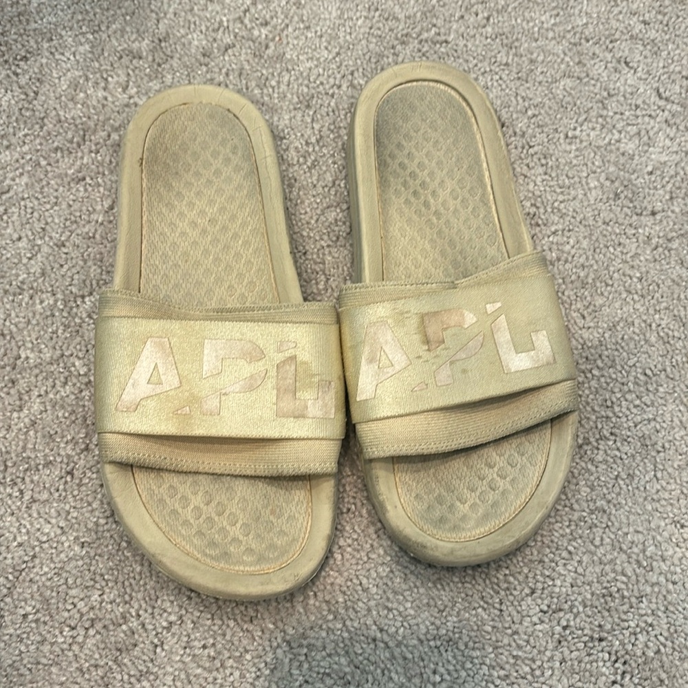 APL slides
